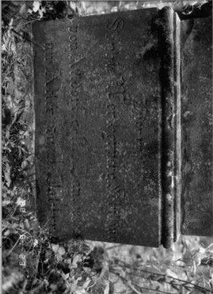 Grabstein 141 (Index: 100096031) Maße HxBxT: 99x54x17 cm Symbolik: Rosenzweig: Grabstein 141A