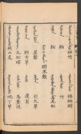 Moo i hacin = 樹木類