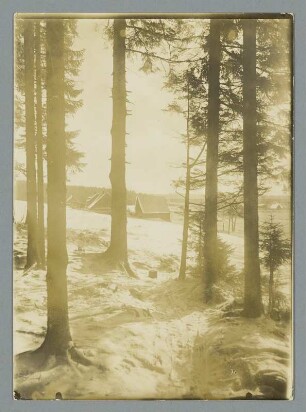 Winter in Muldenberg/Vogtland
