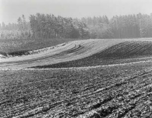 Winterlicher Acker