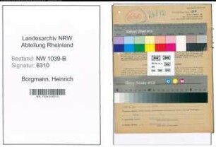 Entnazifizierung Heinrich Borgmann , geb. 25.11.1896 (Landwirt)