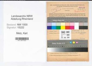 Entnazifizierung Karl Metz, geb. 02.03.1909 (Arbeiter)