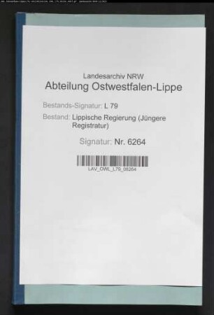 Aushebung der Militärpflichtigen, Teil 2