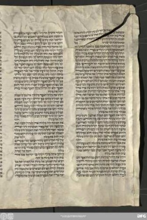 [Torah, Shemot 38,22 - Devarim 17,11] - Bibliothek der Deutschen Morgenländischen Gesellschaft, Hs. Cod. Hebr. 10