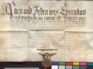 Heinrich von Taube auf Püchau, Reichstädt, Nöthnitz, Döbschütz, Gruna und Neundorf, Geheimer Rat und Amtshauptmann zu Torgau, bescheinigt die eheliche Geburt des Martin Rebhuhn (Rebhun).