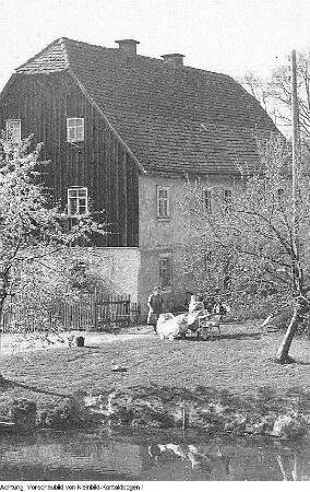 Grillenburg und Pirna, Juni 1954