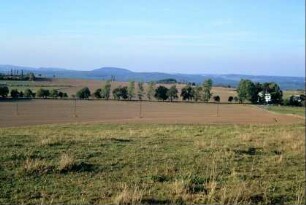 Baumreihe, Felder
