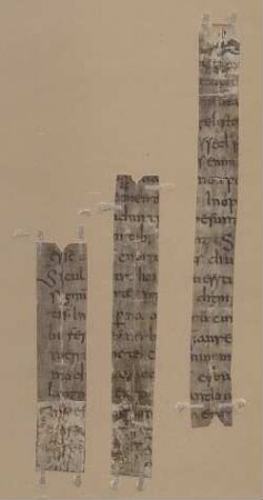 Homiliarum in evangelia libri II. Ex homilia XV et XVI - BSB Clm 29400(2