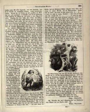 "Amerikanische Briefe"