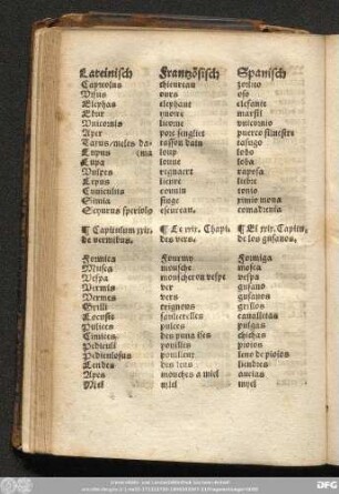 Capitulum xxix. de vermibus.