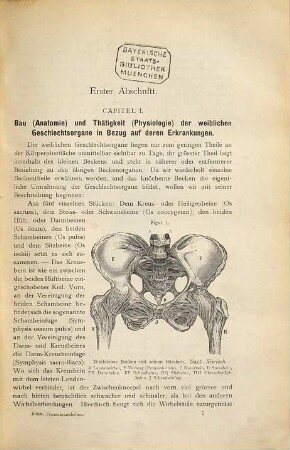 Lehrbuch der Naturheilmethode vom Standpuncte der Erfahrung und Wissenschaft, 2
