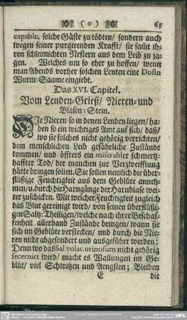 Das XVI. Capitel. Vom Lenden-Grieß, Nieren- und Blasen-Stein