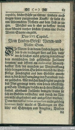 Das XVI. Capitel. Vom Lenden-Grieß, Nieren- und Blasen-Stein