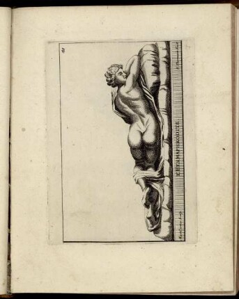[Taf.] 41 [- Taf.] 50