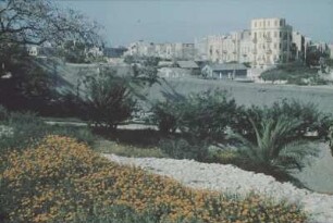 Reisefotos. Stadtteilansicht aus einem Park (vielleicht in Südamerika)