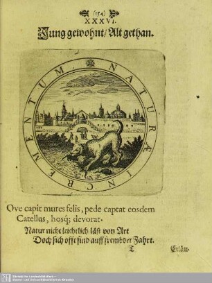 XXXVI. Jung gewohnt, Alt gethan
