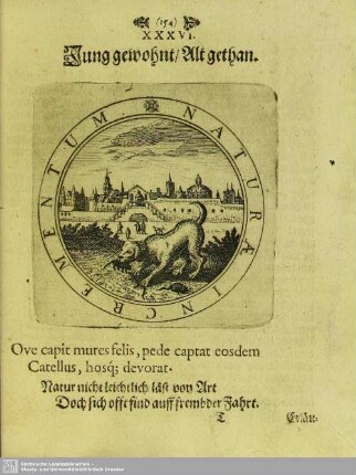 XXXVI. Jung gewohnt, Alt gethan