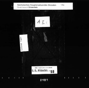 Konsensbuch von Grünau (bei Wildenfels)