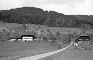 Gutach: Weg und zwei Schwarzwaldhäuser