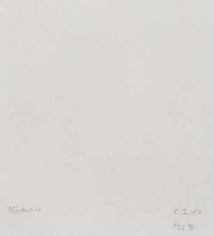 Nachlass von Alexander Pfänder (1870-1941) – BSB Pfänderiana, C,1,17. Alexander Pfänder (1870-1941) Nachlass: Psychologie des Menschen - BSB Pfänderiana C.I.17