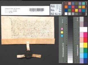 Quittung des Adolf von Wyenhorst für den Kellner, Johann Lodwichs, über 200 Gulden Jahrrente aus den Dingstühlen des Lands Linn (Lank, Heerdt, Willich, Büderich, Bockum).