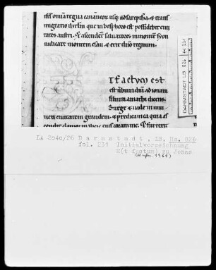 Testamentum Vetus — Initiale E (t factum), Folio 231 recto