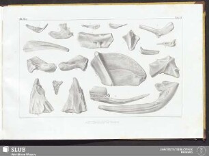 Tab. 32