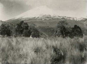 Der Westfuß des Cotopaxi vom oberen Waldrand aus