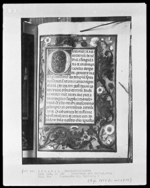 Gebetbuch mit Kalendarium — Initiale O und Vollbordüre, Folio 164recto