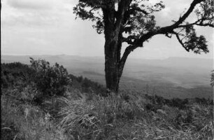 Landschaft : Blick über die Landschaft des Ngorongoro-Kraters