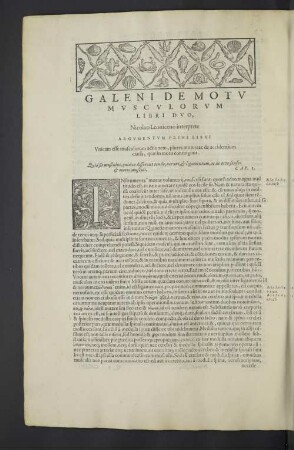 Galeni de motu musculorum