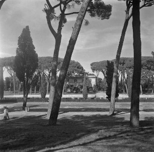 Villa Borghese — Parco dei Daini