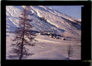 Winterlandschaft, wohl bei Zuoz (Engadin)