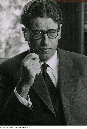 Portraitserie Theodor Eschenburg