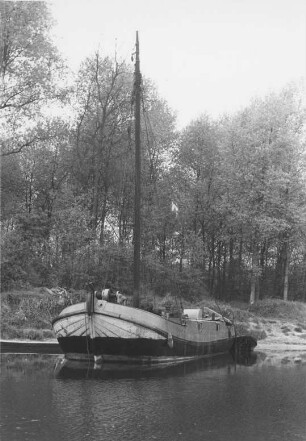 Alter Aalschocker im Altrhein bei Hochstetten