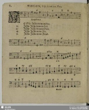 V. Jesu du mein Hirt