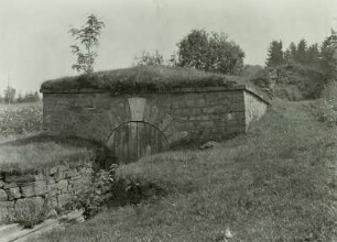 Freiberger Bergbaurevier, Mundloch der Martelbachrösche am Dörnthaler Teich