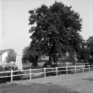 Dorfring: links Ehrenmal 1939-1945 mit Grünanlage: davor Zaun: rechts Friedenseiche: hinten an Straße Häuser mit Gärten