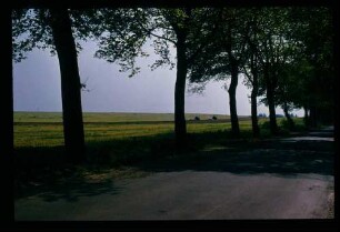 Chaussee 16.5.80.
