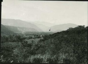 Talterrassen des Rio Motatan-Tals