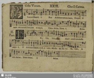 XXIX. Planxit David rex Absalon natum suum