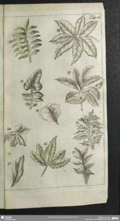 Tab. 20.