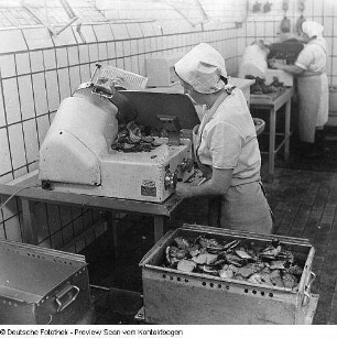Lebensmittel-Industrie