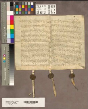 Revers des Johannes von Lemogo als Schultheiß des Oberhofs Brockhausen.