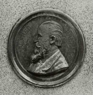 Brehm-Schlegel-Denkmal
