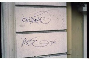 FLAMe ROE