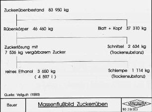 Massenflussbild Zuckerrüben