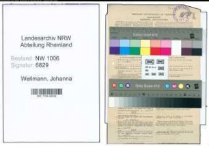 Entnazifizierung Johanna Wellmann , geb. 10.01.1910 ()
