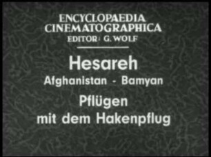 Hesareh (Afghanistan, Bamyan) - Pflügen mit dem Hakenpflug