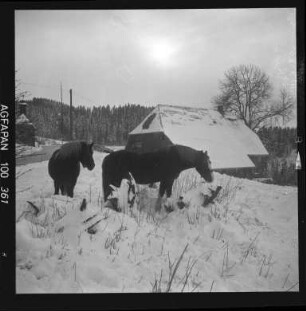 Winter an der Thurner Straße